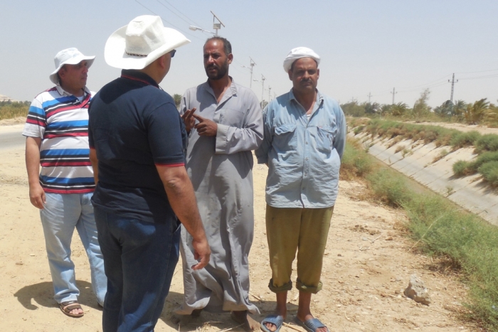 الكينوا كمحصول واعد غير تقليدي للأراضي الهامشية في مصر